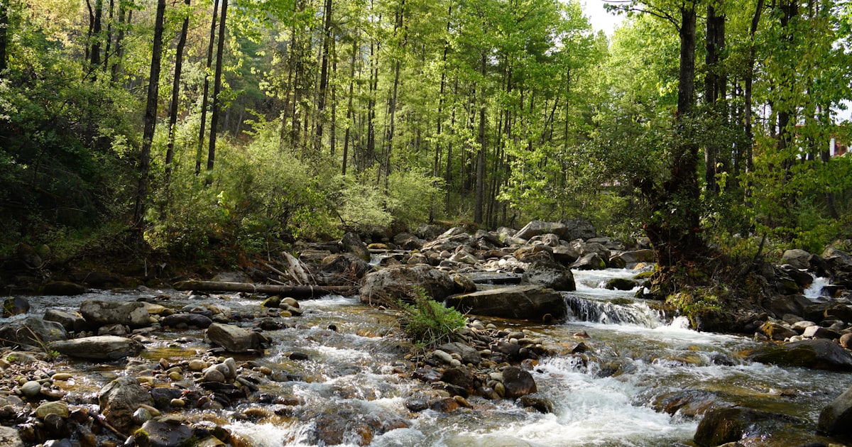 Filtre a eau de survie : comparatif et guide d'achat